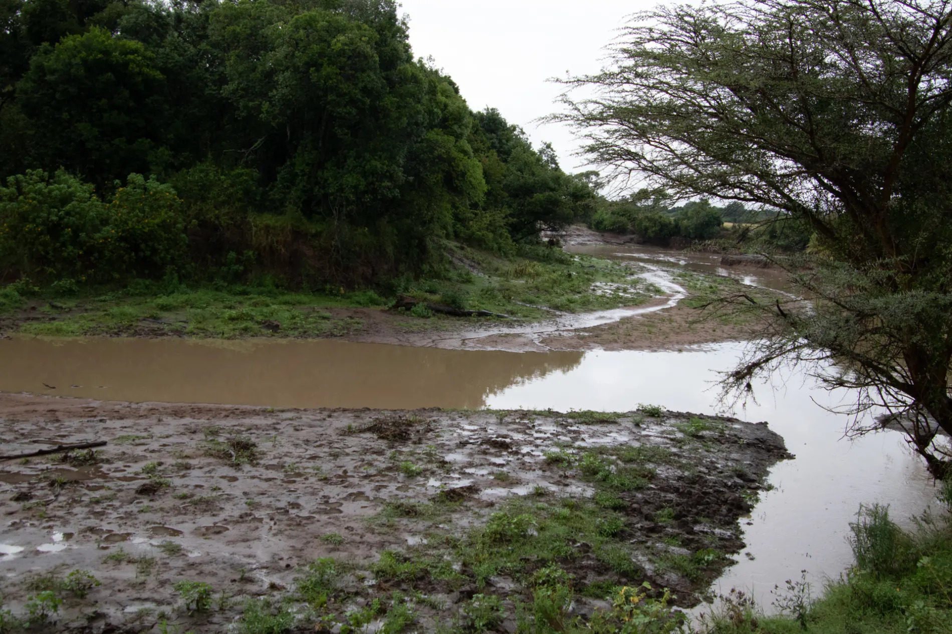 Mara River Empty