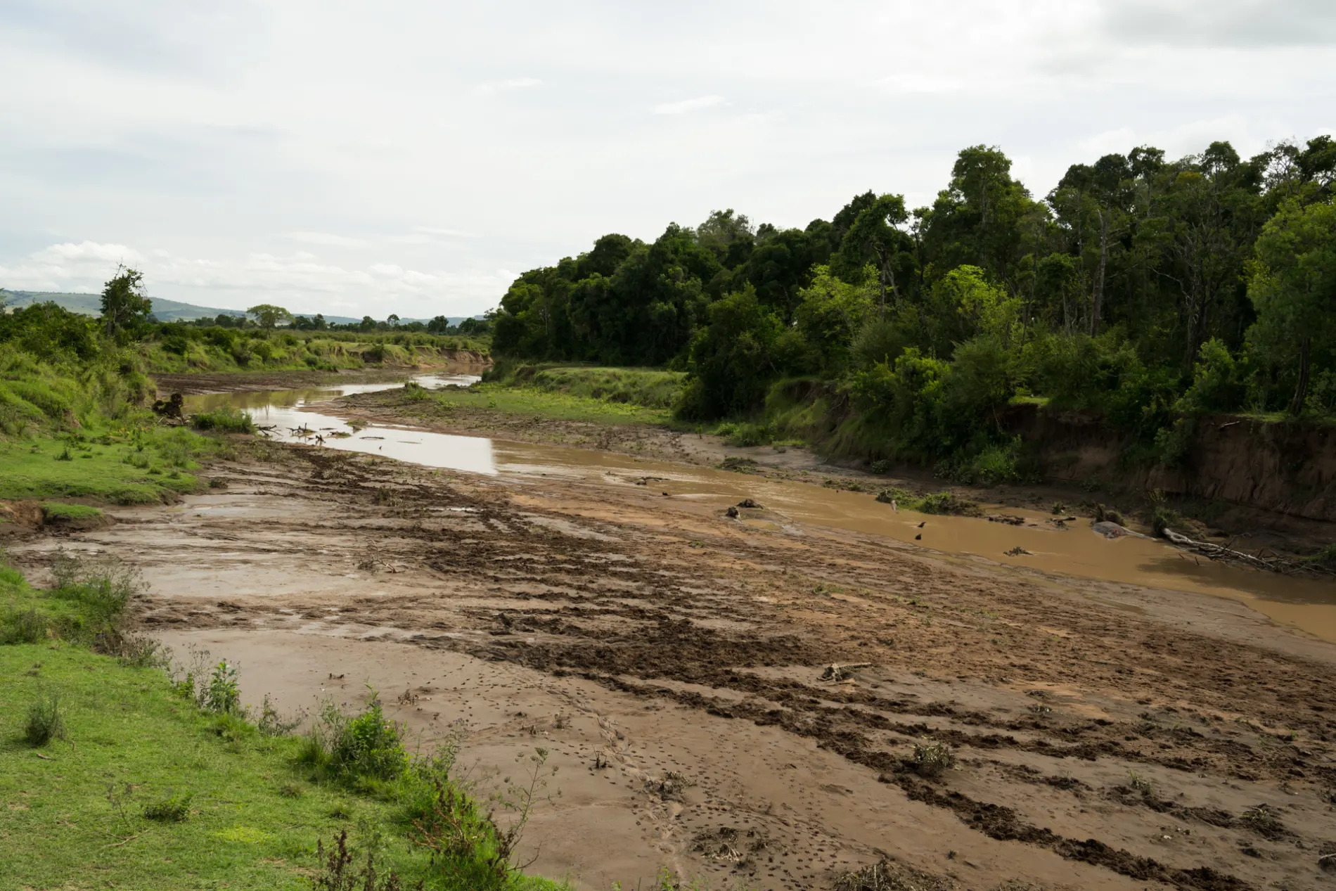 Dry River Bed