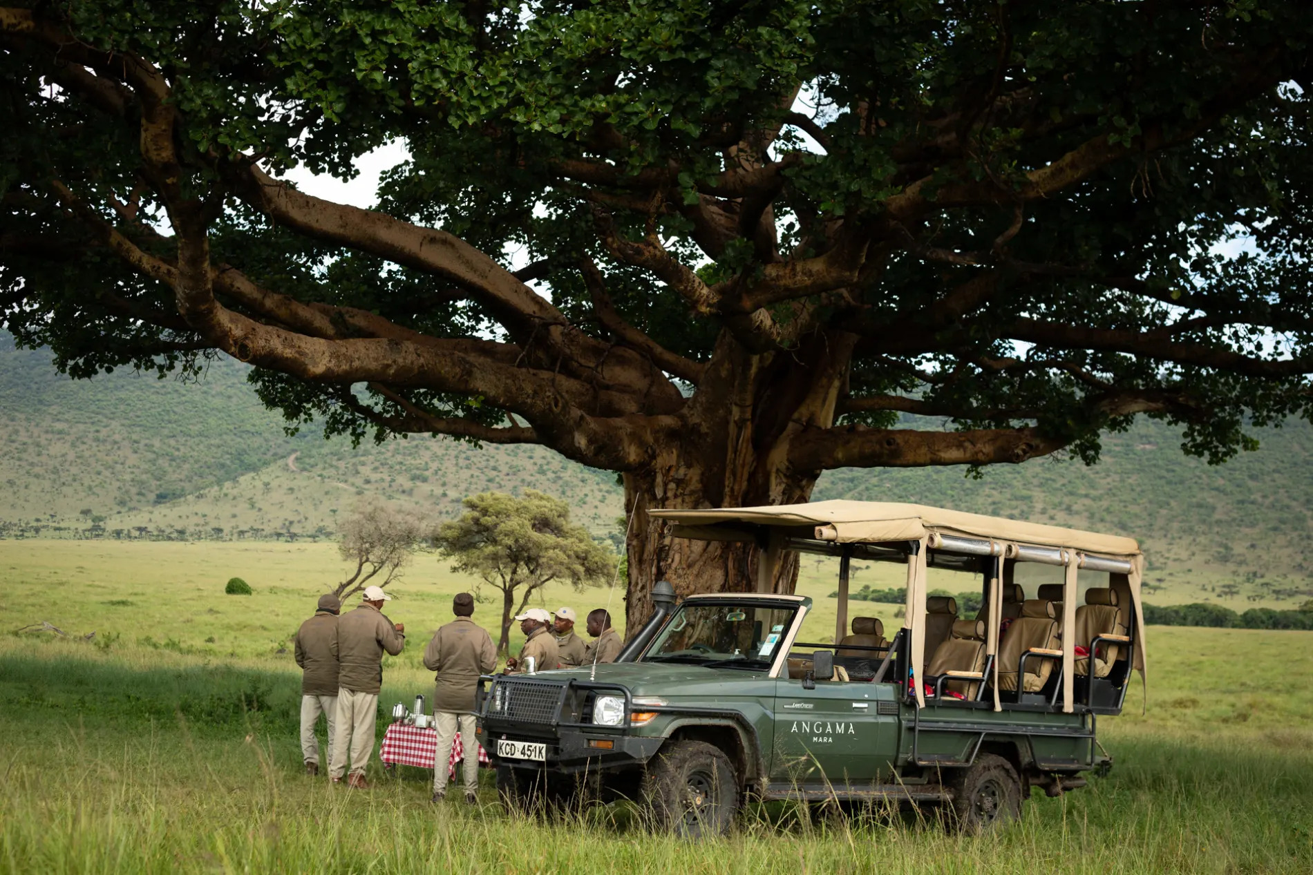 Guides under tree 2