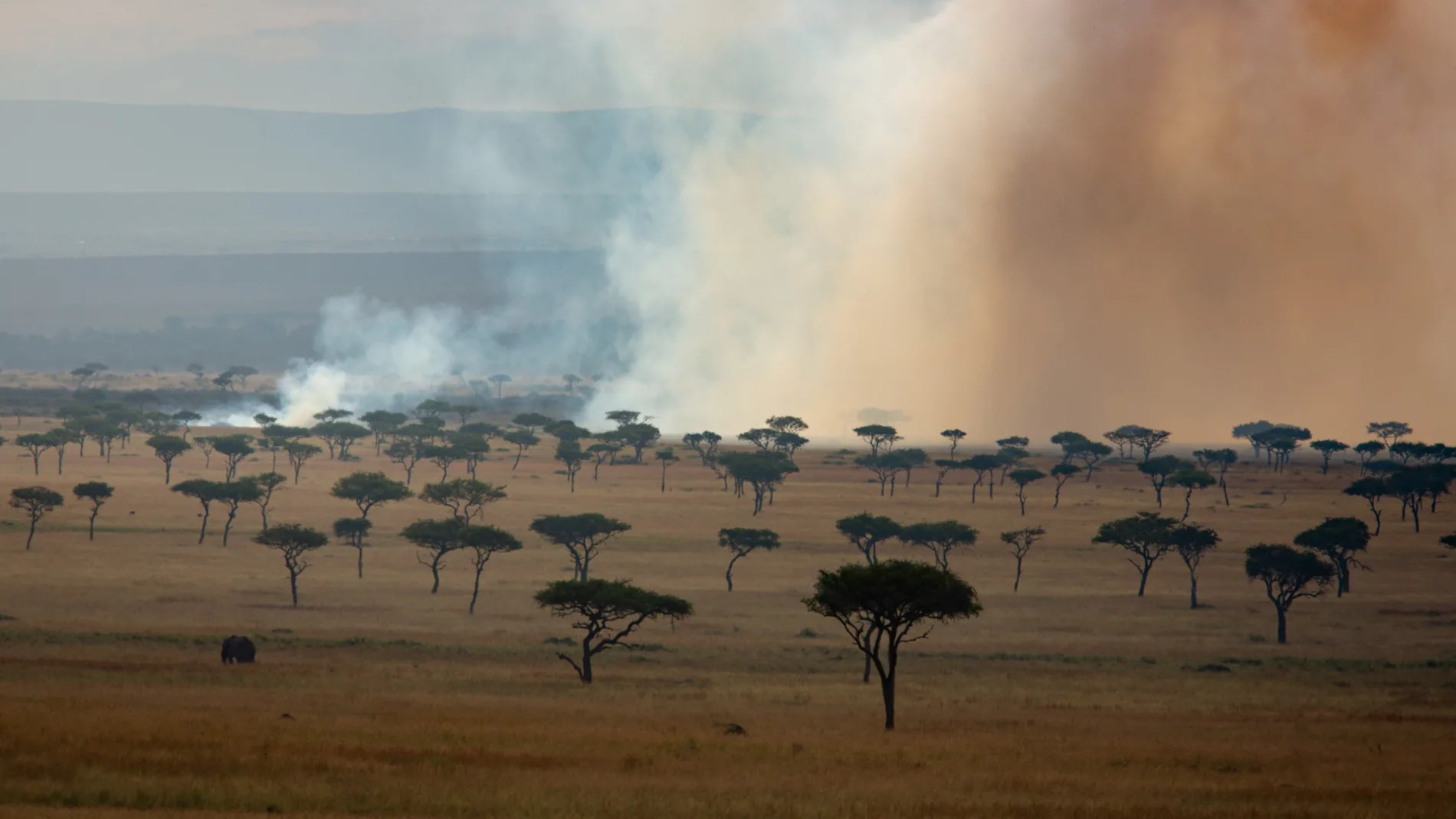 Smoke on horizon