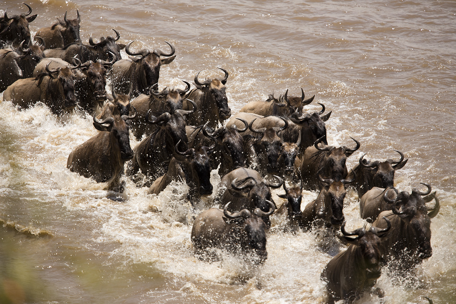 Mara Crossing