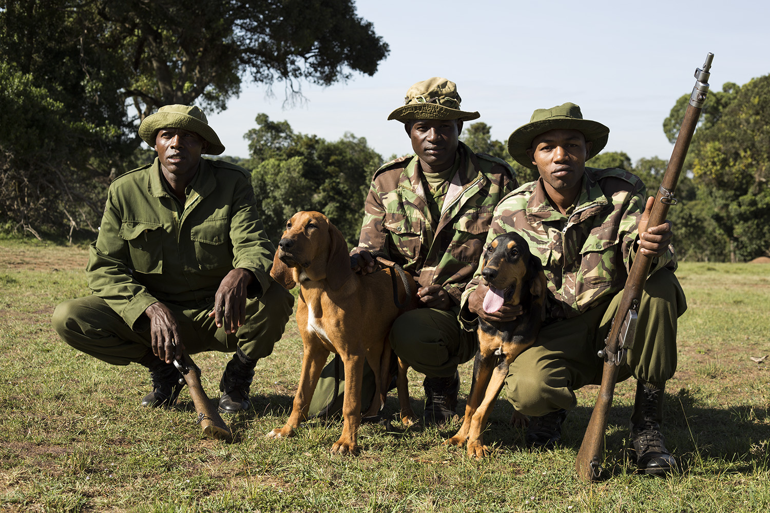 Sniffer dogs rangers