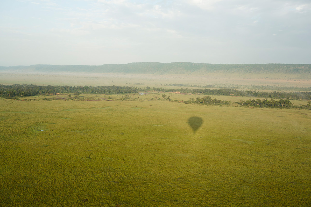 Views of the Escarpment