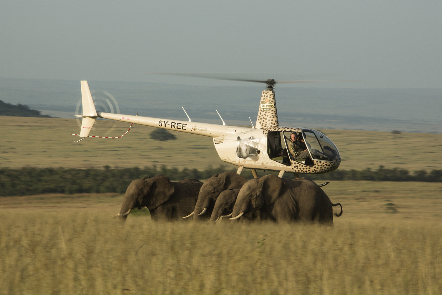 Helicopter side on with elephants