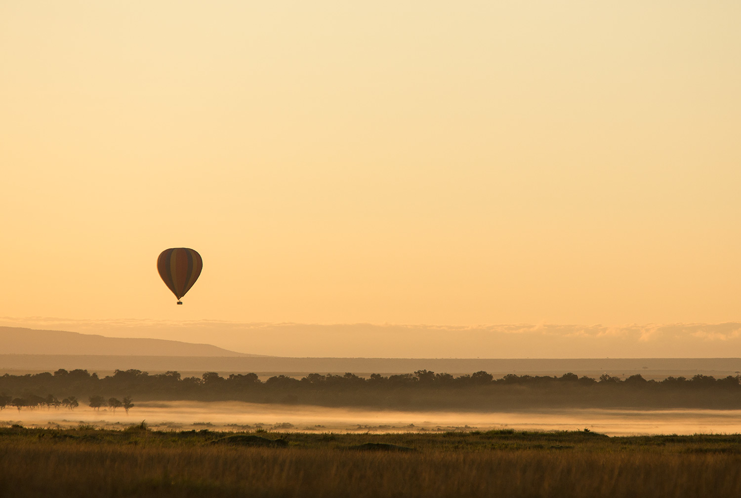 Balloon-and-mist