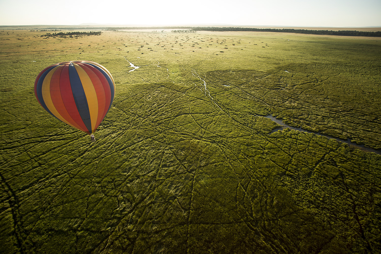 Balloon and trails