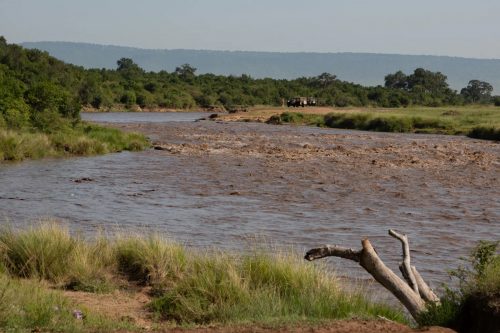 Two years ago the Mara River was full from heavy rains 