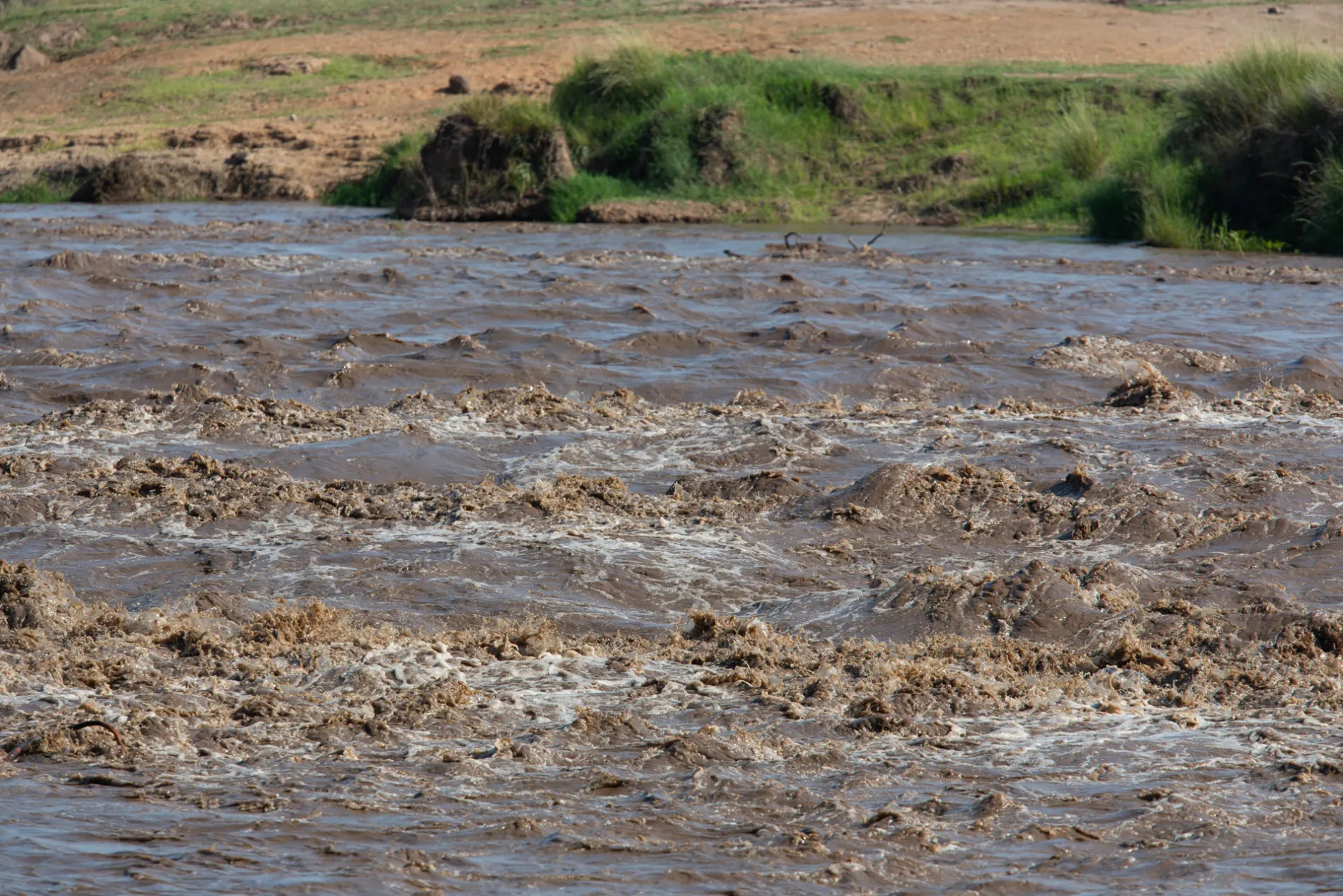Running river close up