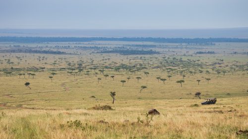 An Angama safari vehicle entering the park