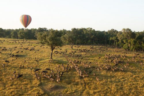 Hot air ballooning in the heart of the Migration