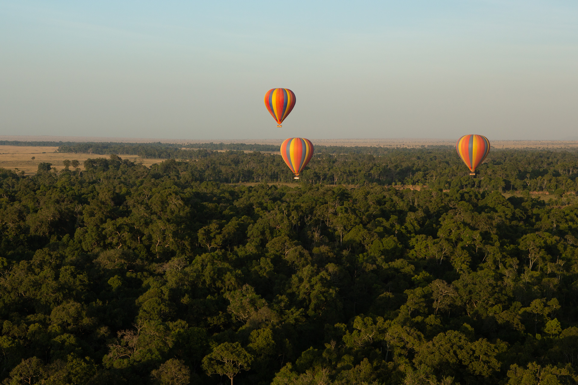 balloons floating