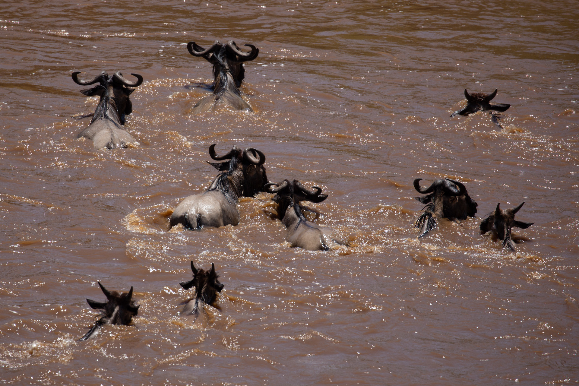The crossing in the Mara