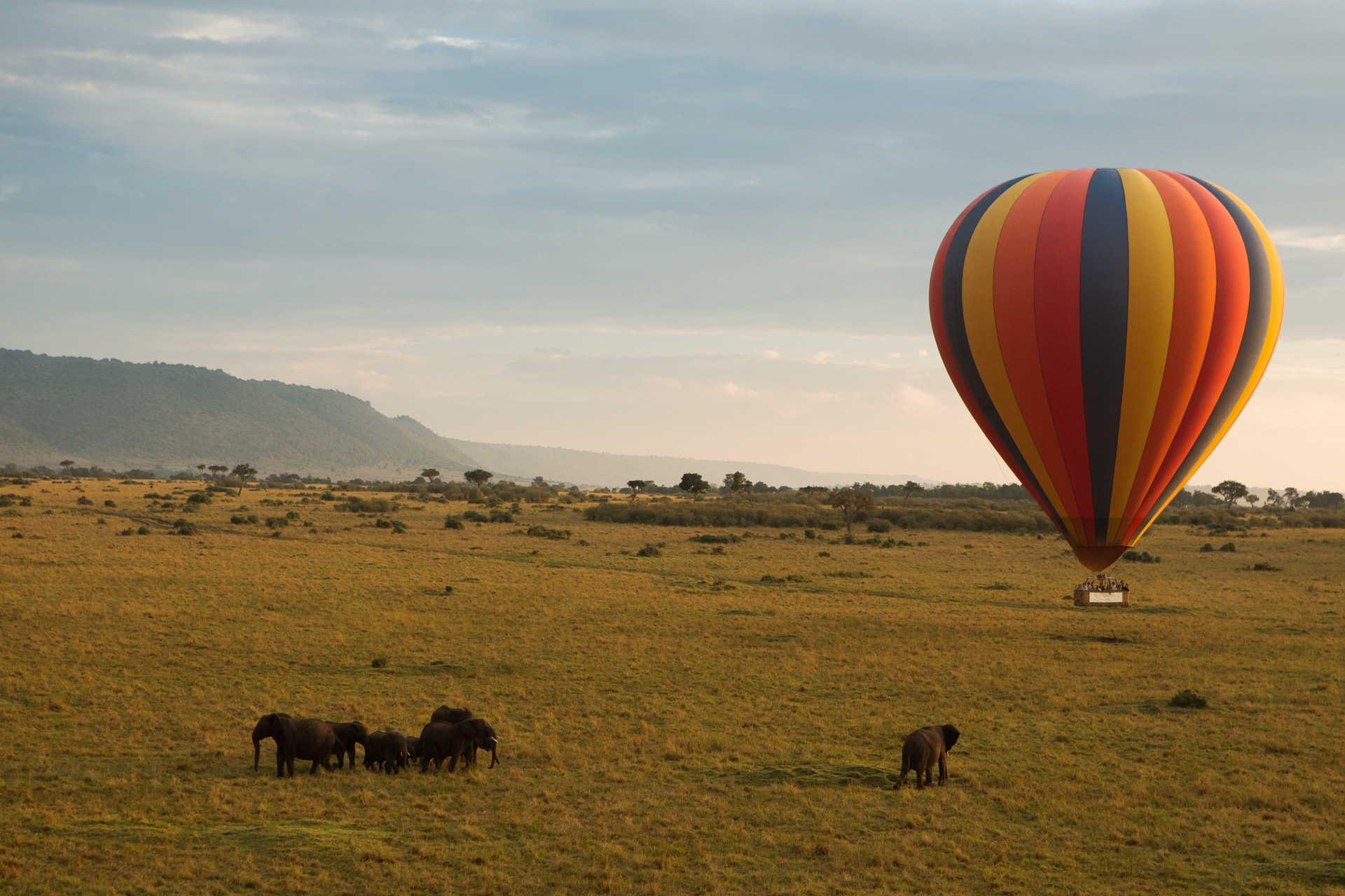 Hot air balloon on the Mara