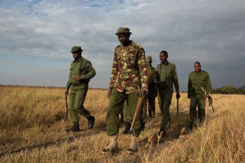 The anti-poaching unit has made a marked impact in the years that it has been active