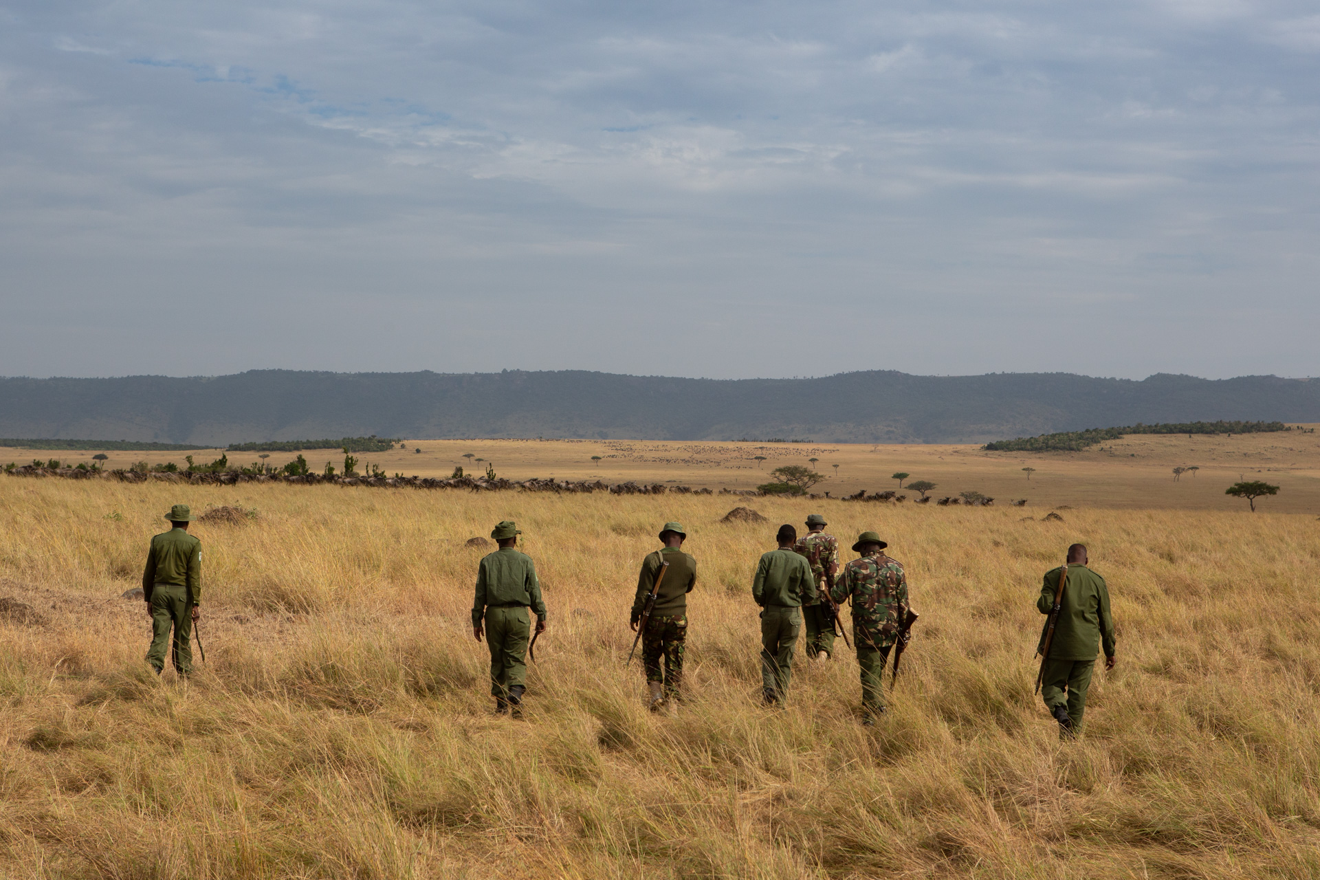 Anti poaching unit