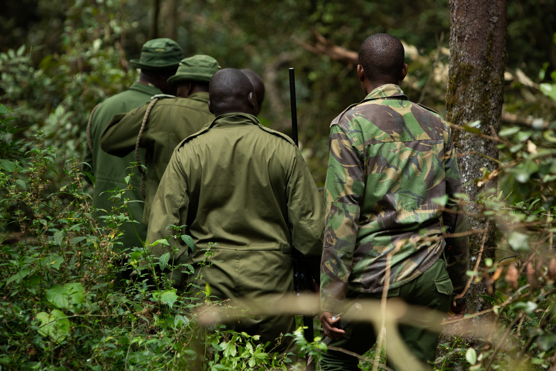 Men walking in forest