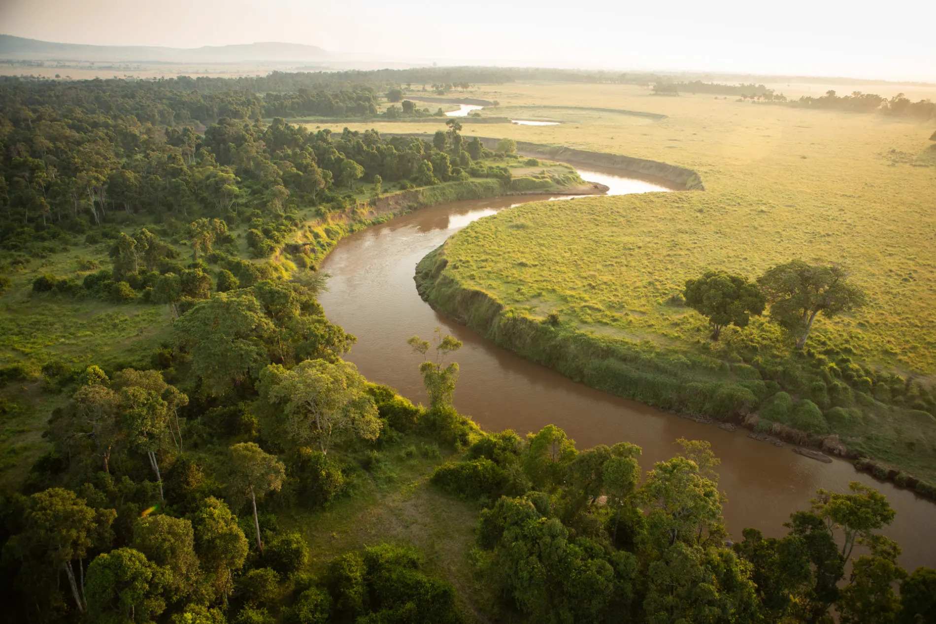 Bend in Mara river