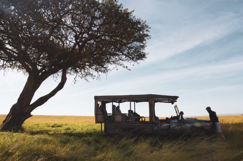 Silhoutte of Angama Car By Tree