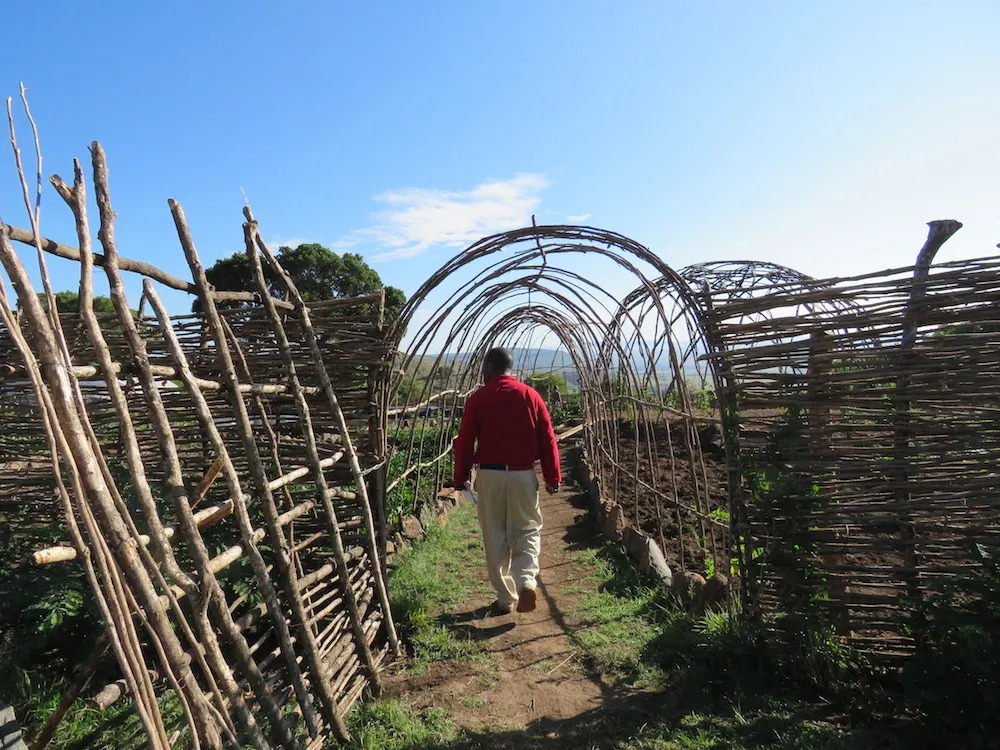 Angama Mara Entrance to the Shamba