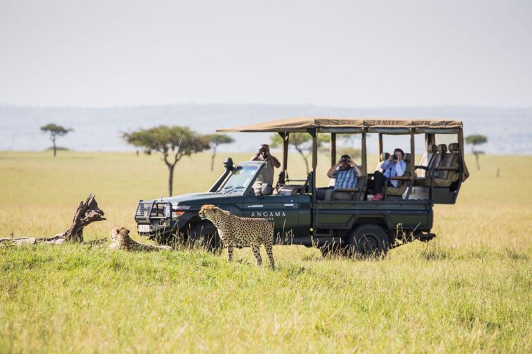 Angama-vehicle-and-cheetah