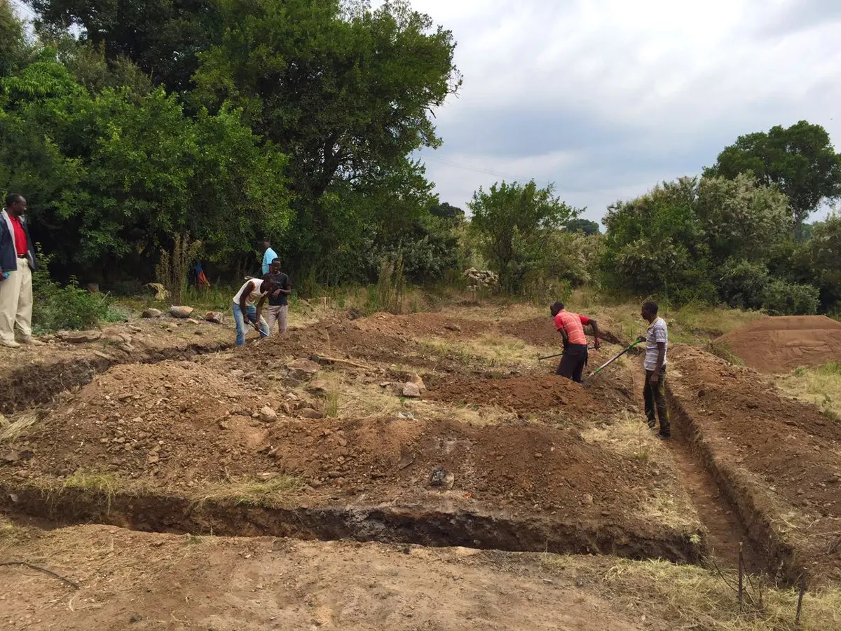 Foundations of the clinic