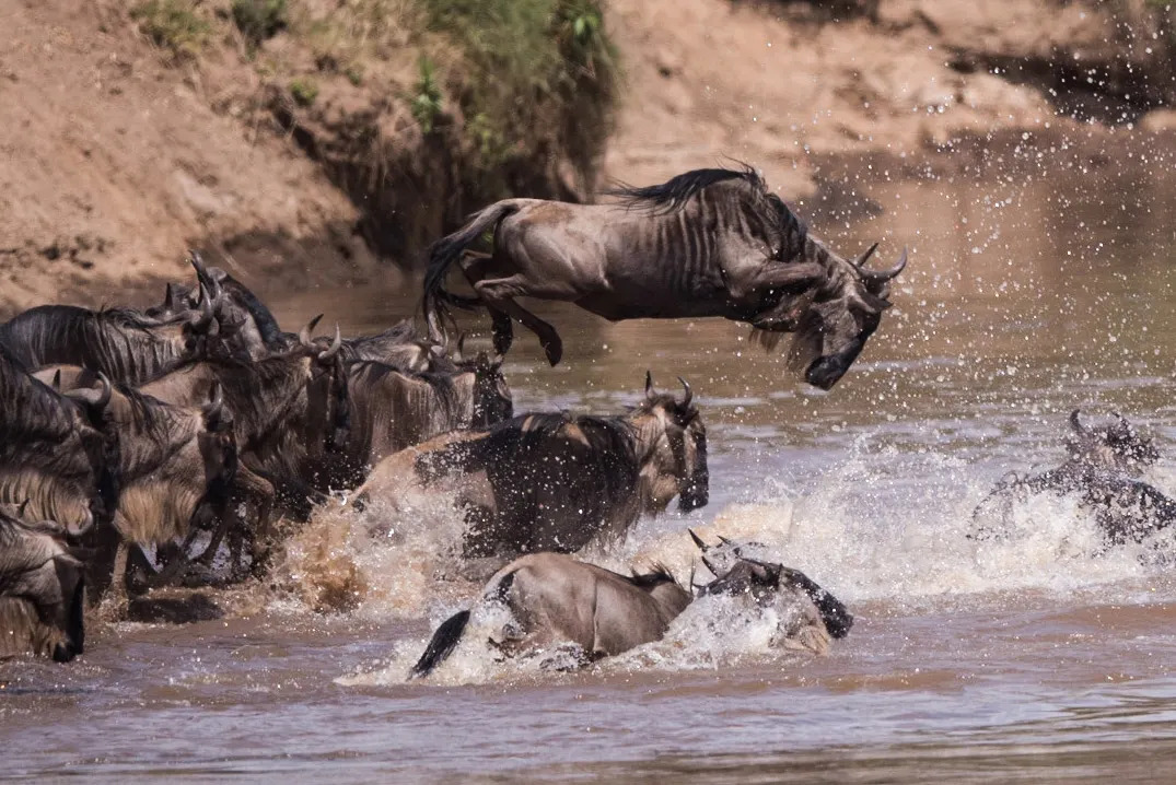 The drama of the crossings