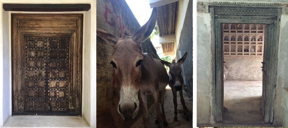 Donkeys-and-doors