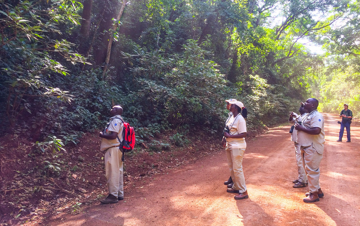 Exploring-Kakamega