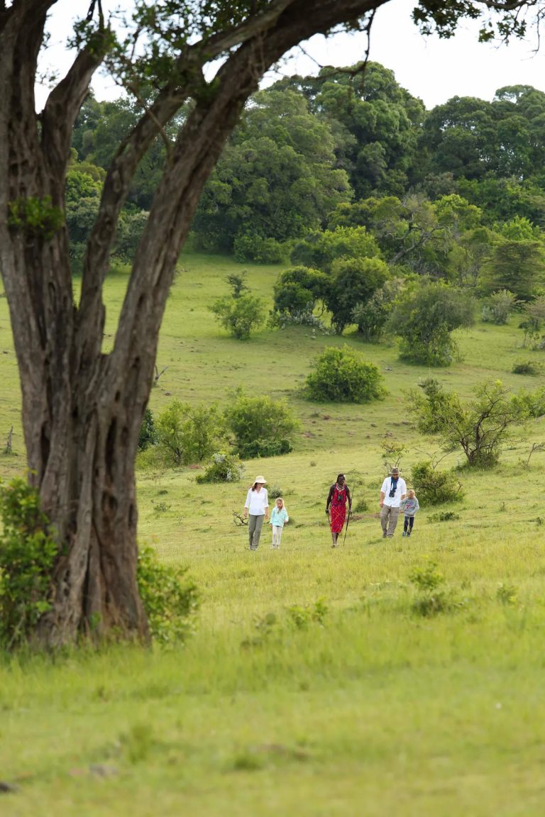 Walking with little ones