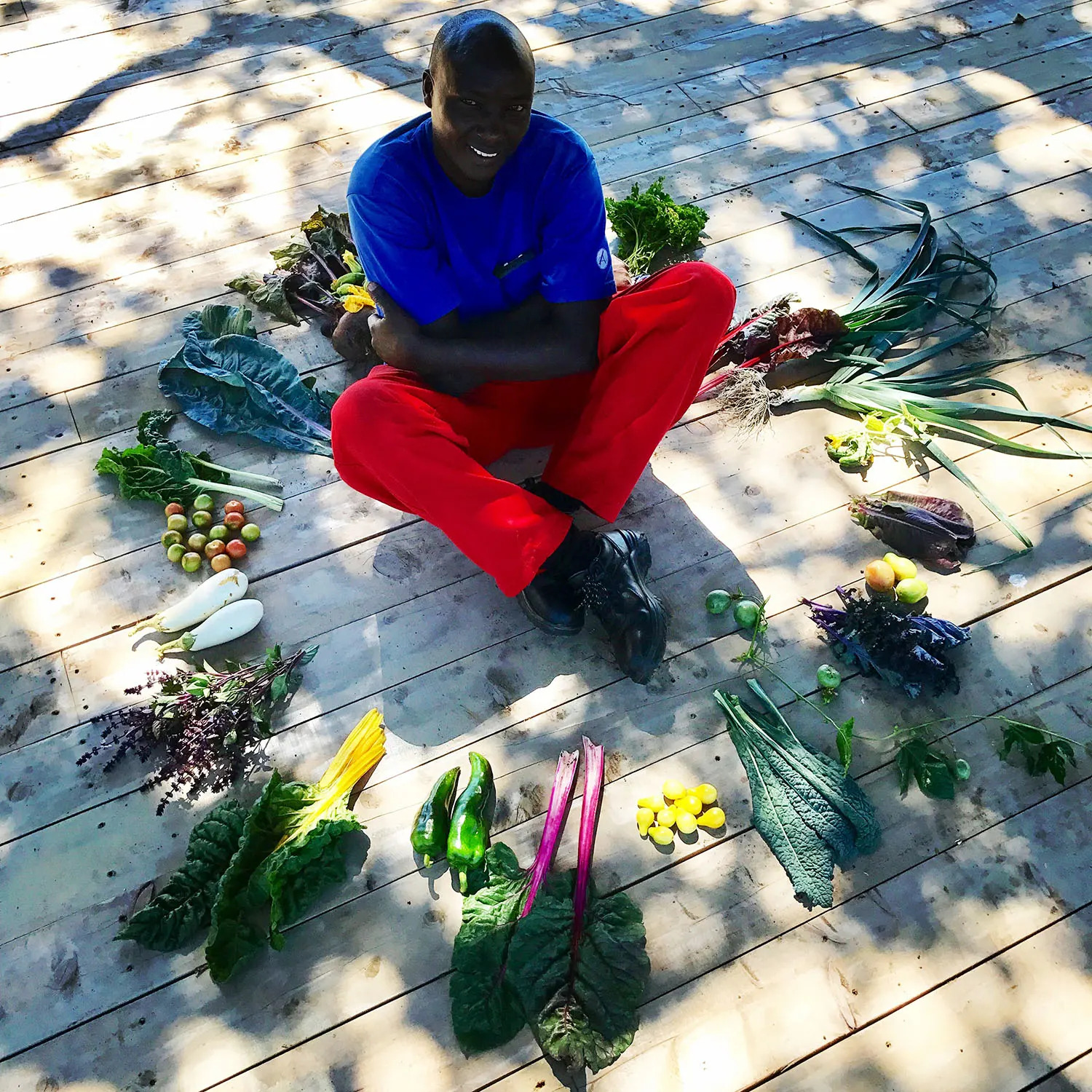 Naliki harvest