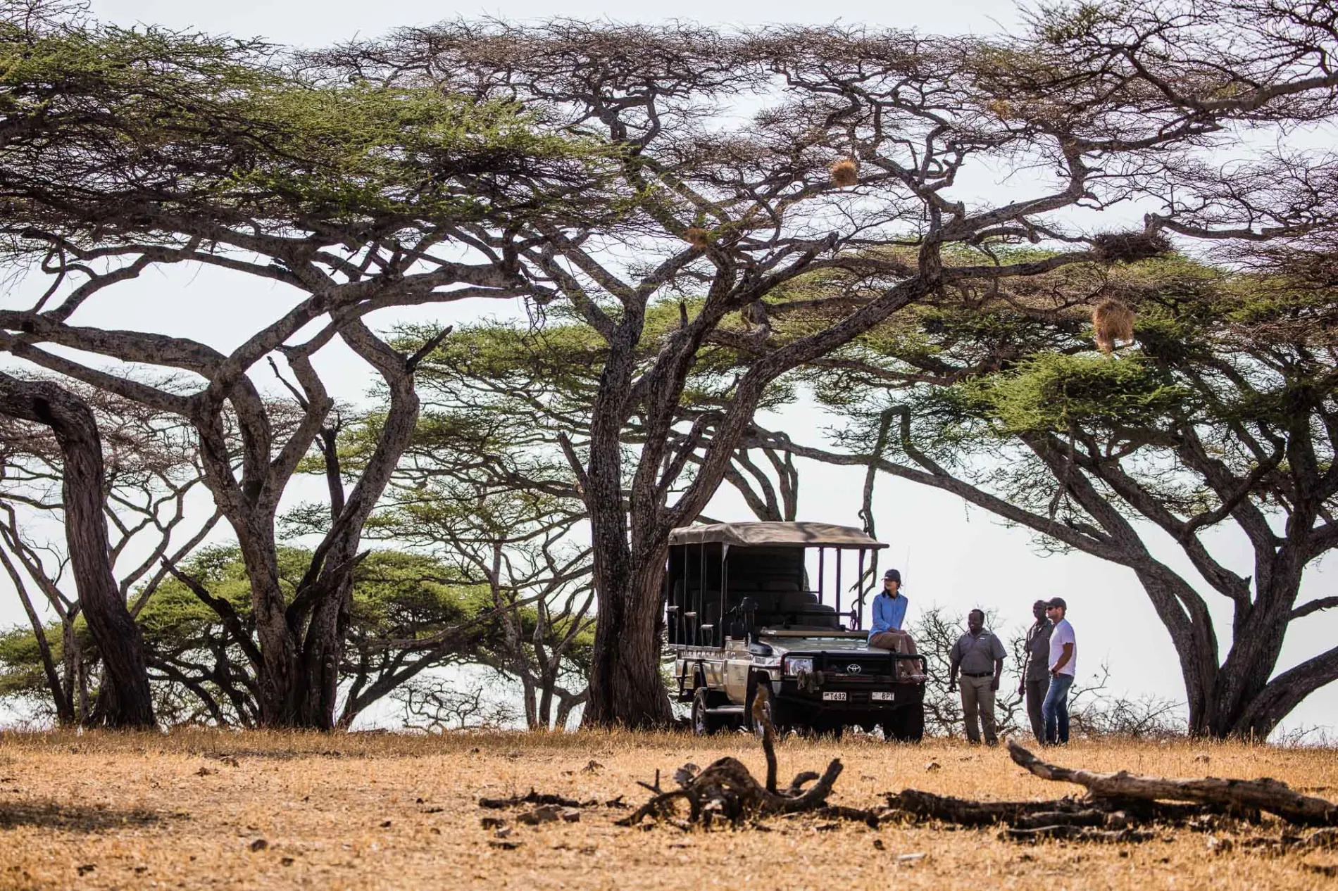 Mwiba game Drive