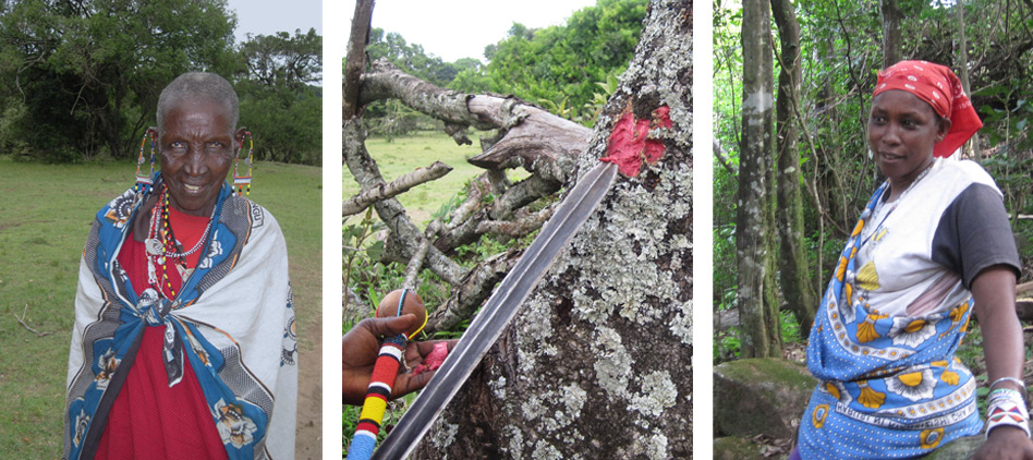 Moth-tree-and-Maasai-Women