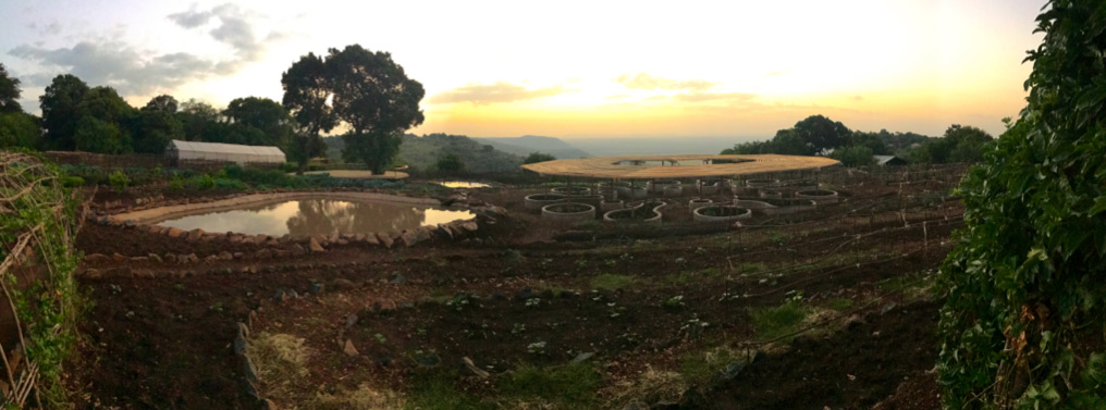 The shamba at sunrise