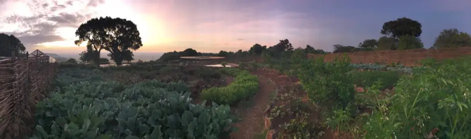 The shamba at sunset