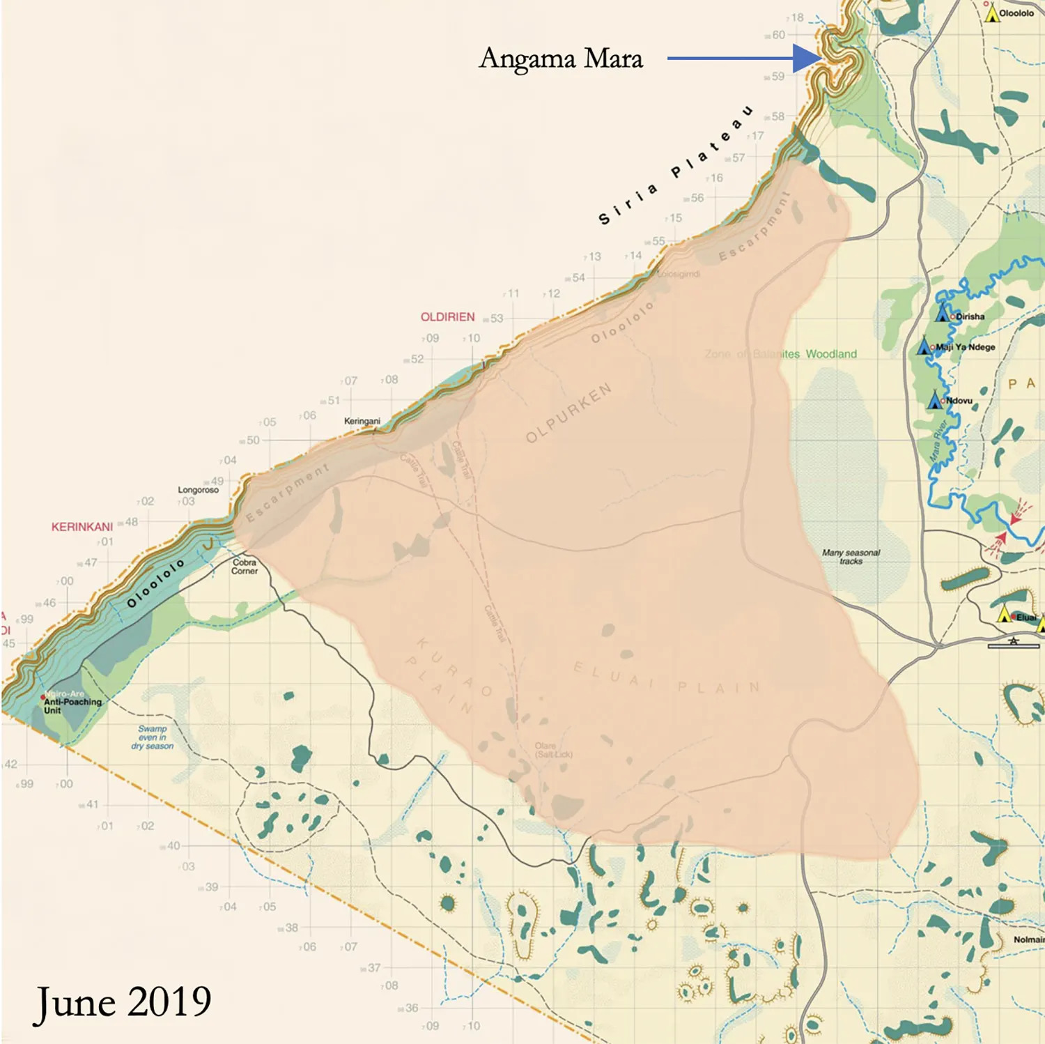 Shepard Tree Male June 2019