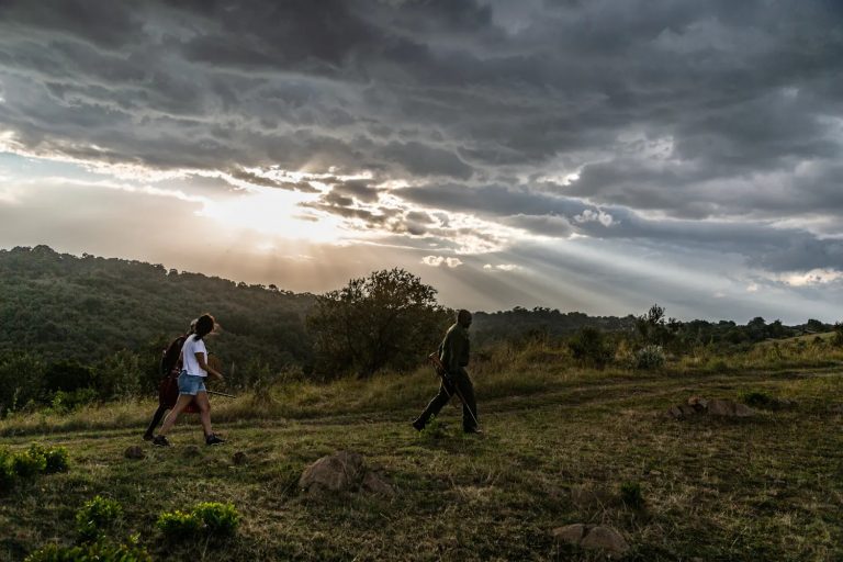 Walks along the escarpment