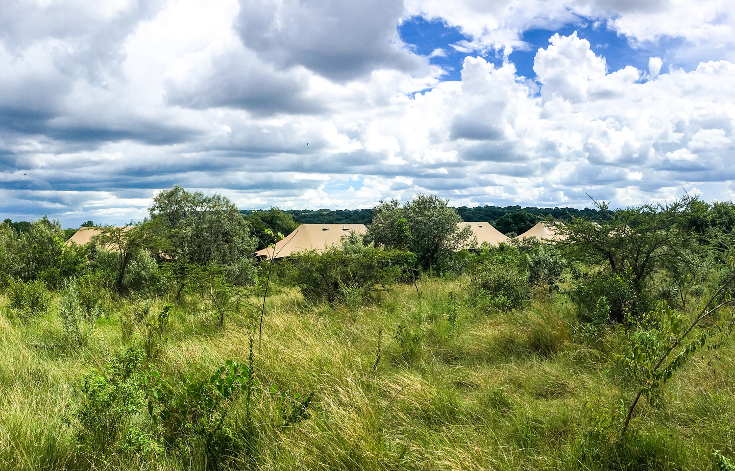 South-Camp-Tents