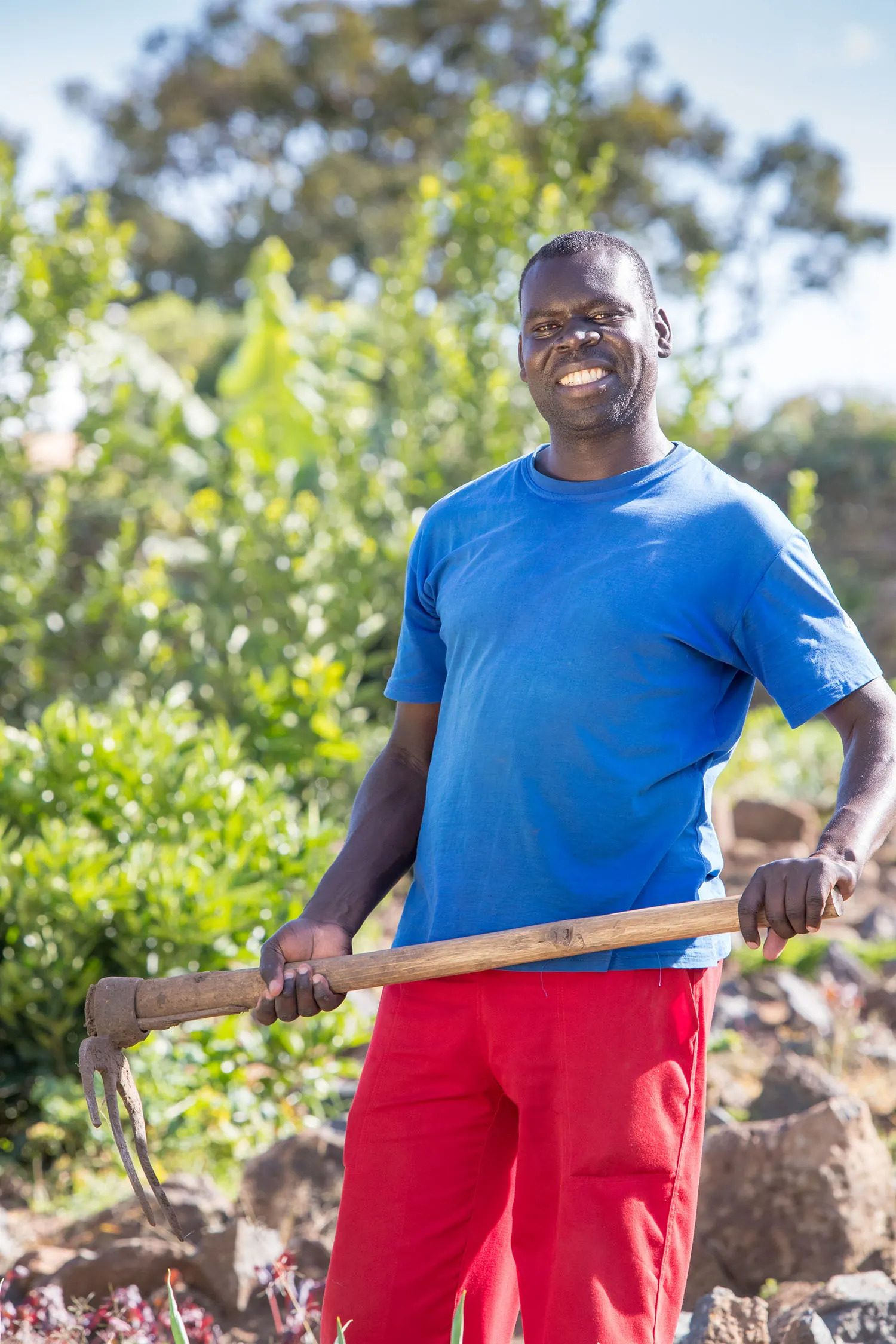 Working the soil