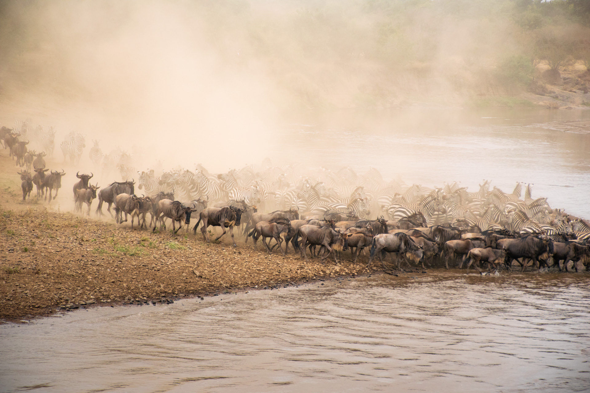 Chaotic river crossing