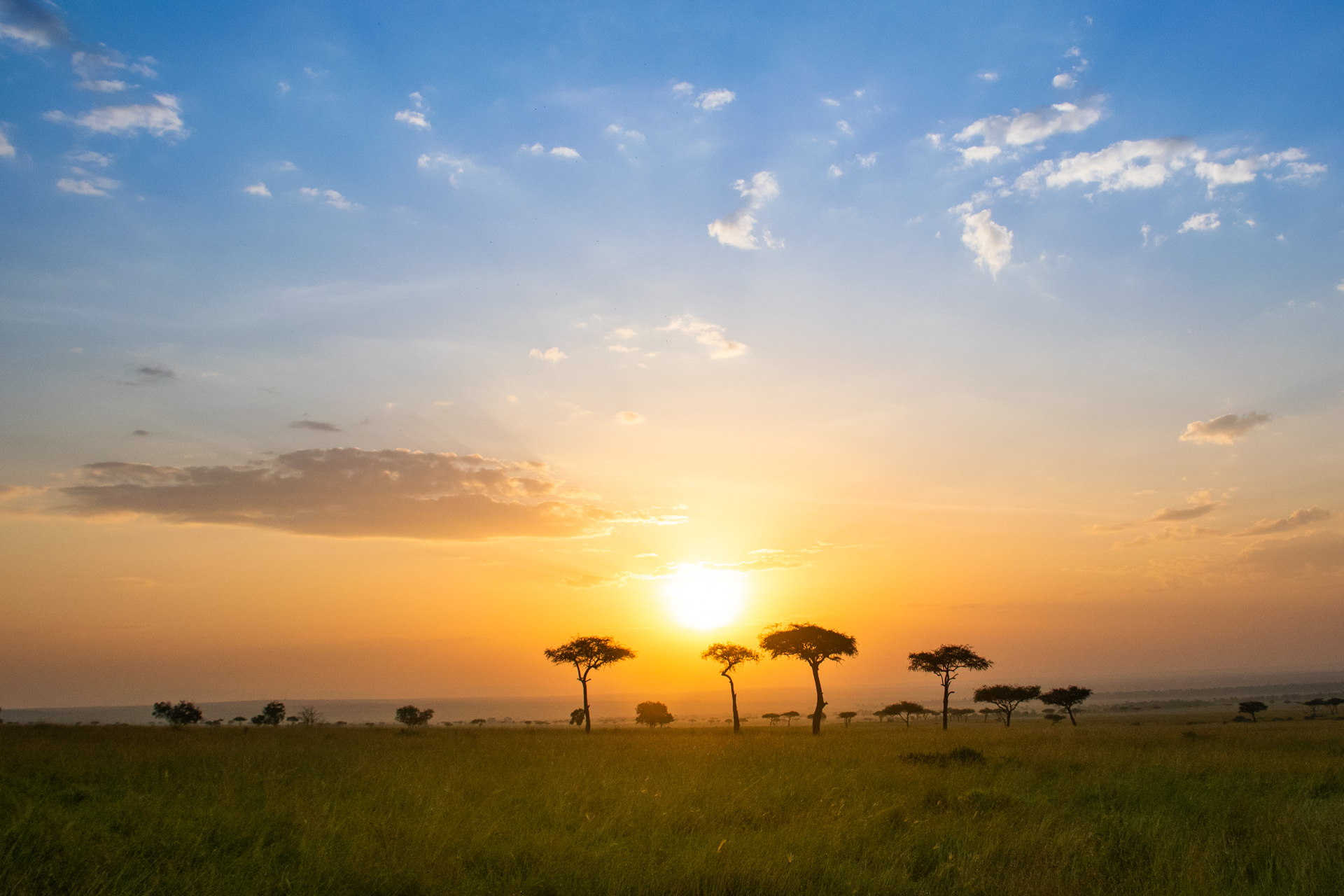 Sunrise in the mara