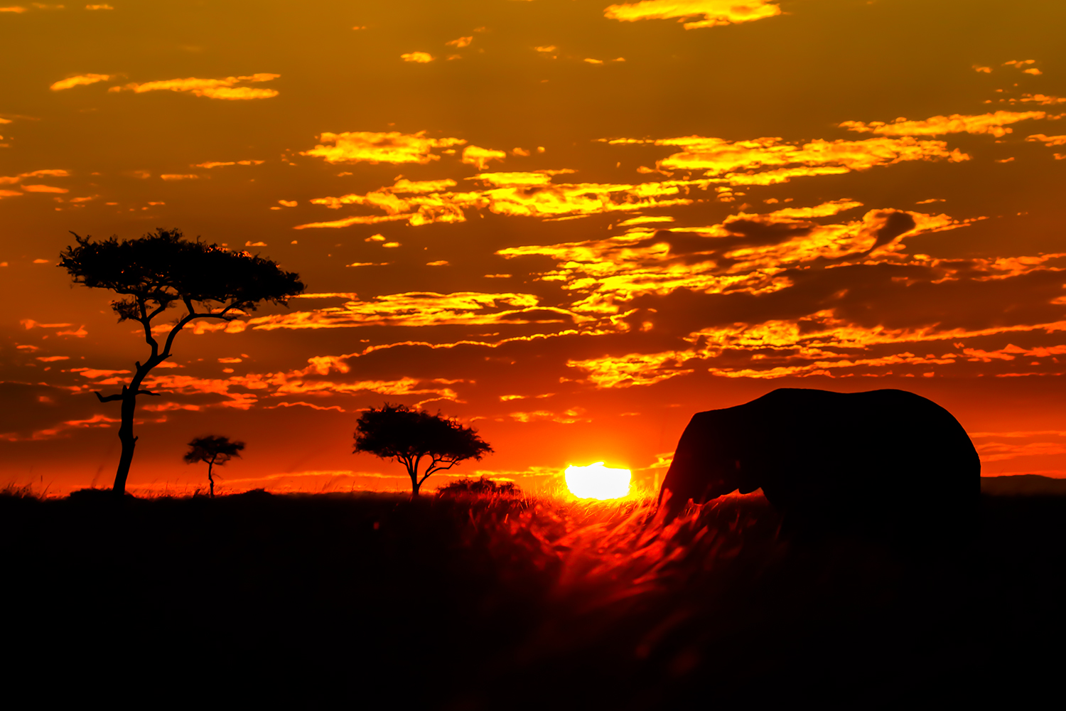 Sunrise silhouette