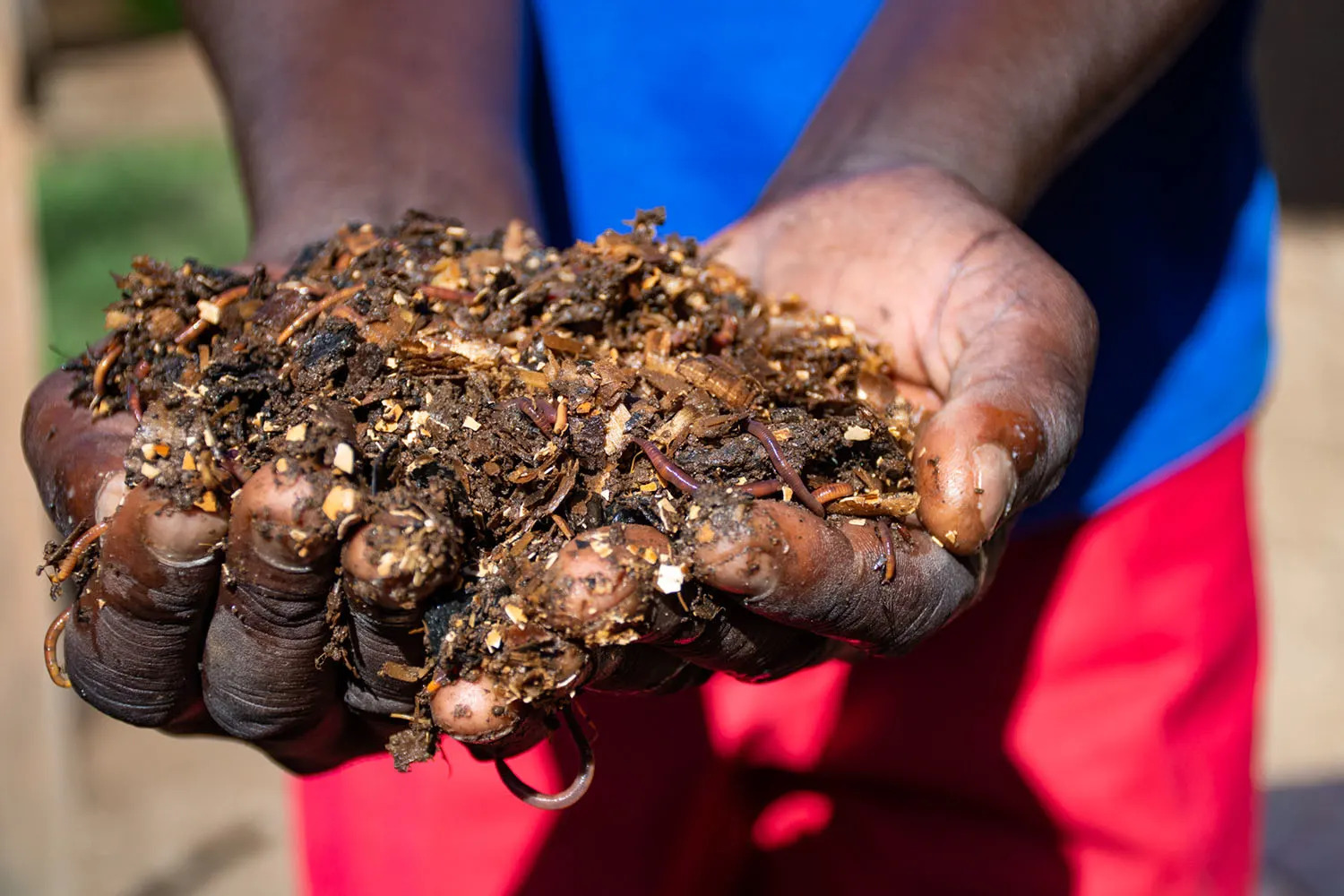 Soil in hands