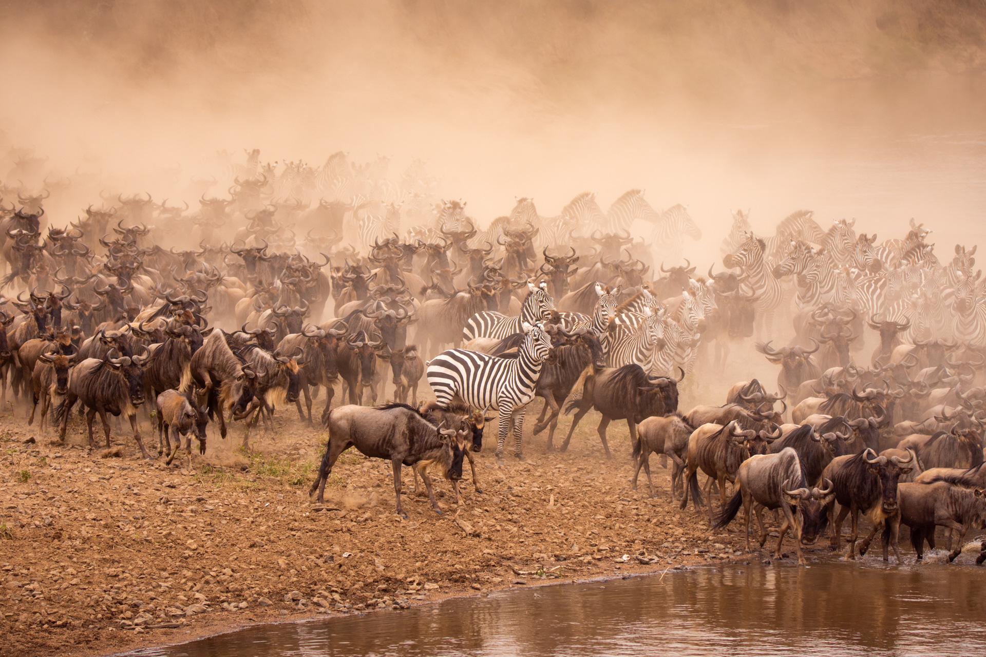 chaotic river crossing 2