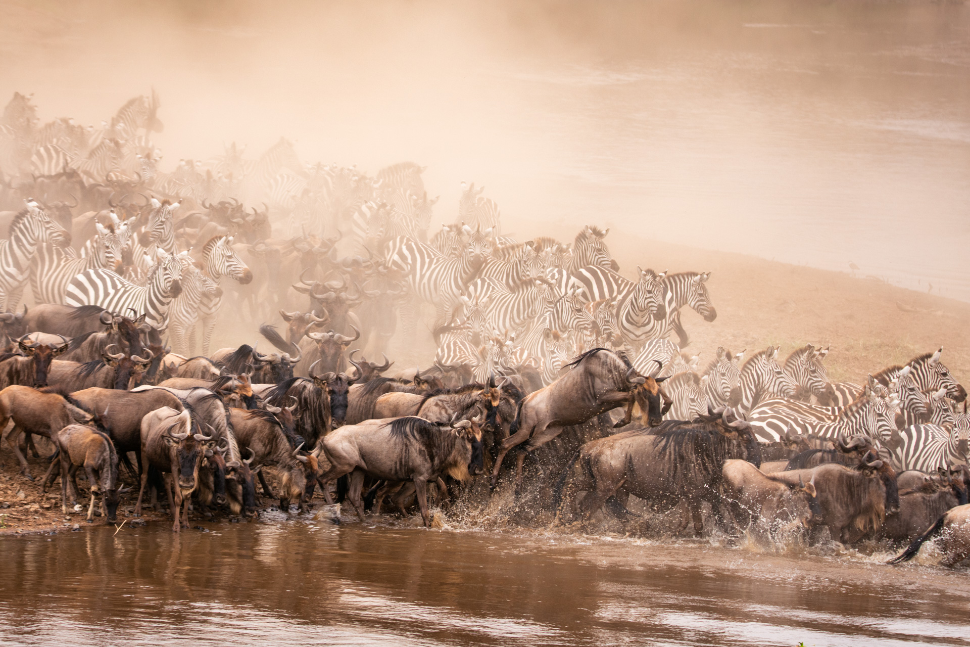 Migration crossing