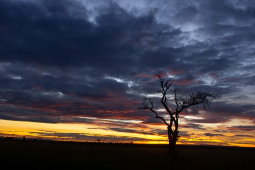 A glorious sunset in the Mara