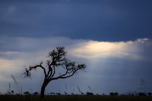 Dramatic clouds and  lighting in the rainy season