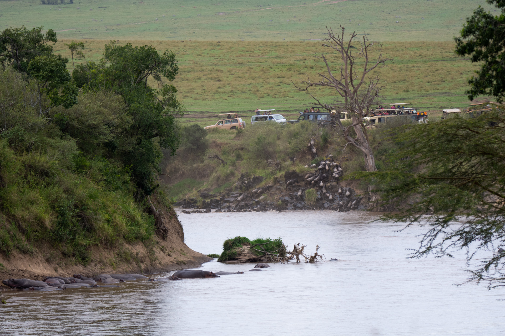 river and cars