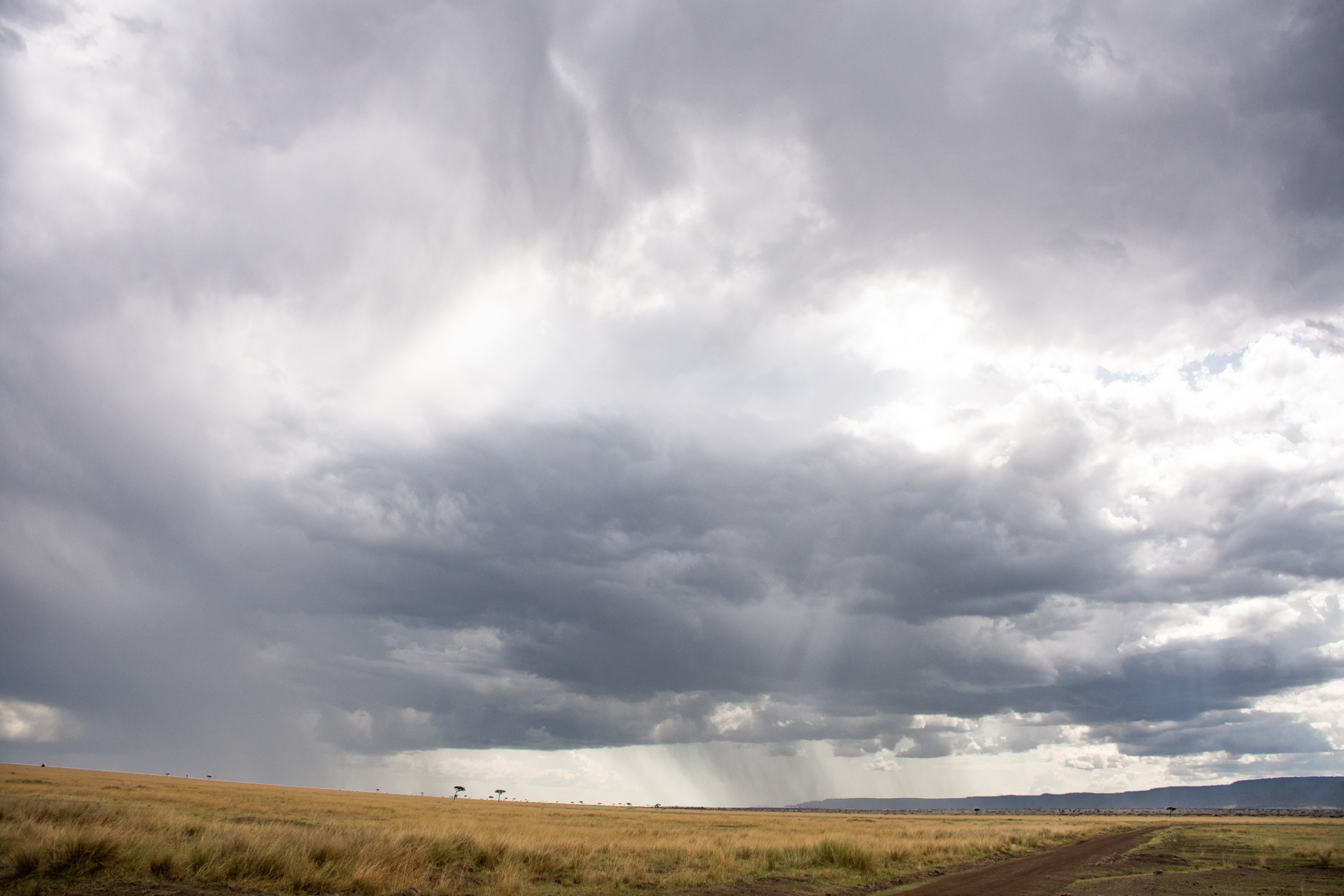 Grey skies moving in with rain