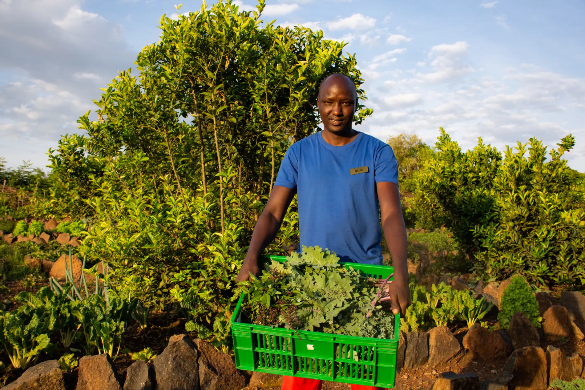 Naliki with produce for kitchen