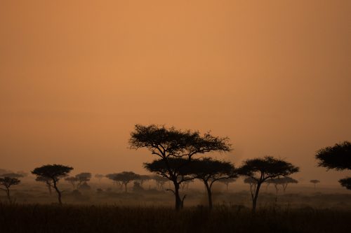 Sunset in the Mara